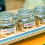 Terpenica - Rooms For Rent